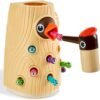Montessori Toys for 2 Year Old Girl and Boy, Fine Motor Skills Toddler Toys Age 2-4, Woodpecker Worm Toy Magnetic Bird Feeding Game