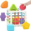 Montessori Toys for 1 Year Old, Toy 6 Pc Multi Sensory Shape, Toddler Developmental Learning Toys Birthday Gifts, Baby Toys 12 Month