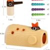 Montessori Toys for 2 Year Old Girl and Boy, Fine Motor Skills Toddler Toys Age 2-4, Woodpecker Worm Toy Magnetic Bird Feeding Game