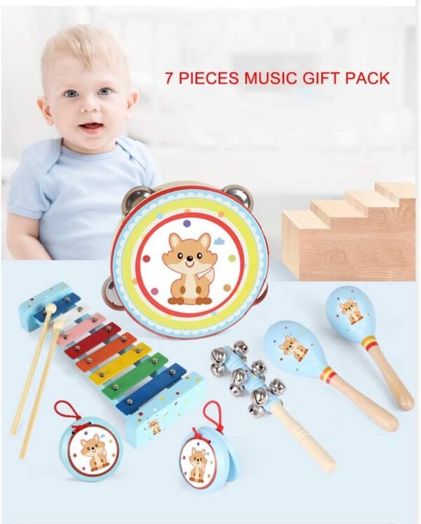 61z5ZnB0LZL._AC_SL1000 Kids Musical Instruments Sets, 12pcs Wooden Percussion Instruments Toys Tambourine Xylophone for Kids Playing Preschool Education, Early Learning Musical Toys for Boys Girls Gift (Blue)