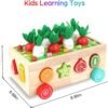 Toddlers Montessori Wooden Educational Toys for Baby Boys Girls Age 1 2 3 Year Old, Shape Sorting Toys 1st One First Birthday Girl Gifts for Kids 1-3, Wood Preschool Learning Fine Motor Skills Game