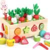 Toddlers Montessori Wooden Educational Toys for Baby Boys Girls Age 1 2 3 Year Old, Shape Sorting Toys 1st One First Birthday Girl Gifts for Kids 1-3, Wood Preschool Learning Fine Motor Skills Game