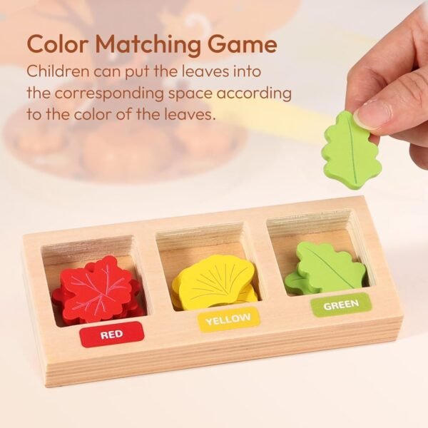 71eWYu7om2L._AC_SL1500 Montessori Toys for 3 4 5 6 Year Old, Pumpkin Picking Magnetic Leaves Tree Toy, Toddler Fine Motor Skill Toy, Wooden Sensory Color Sorting Toys, Fall Autumn Harvest Activities for Boys Girls